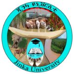 Jinka University